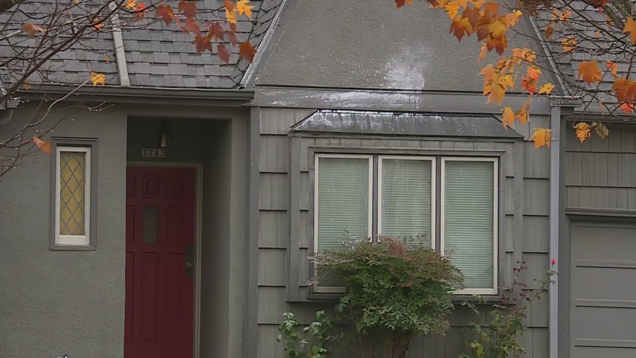 Black leaders condemn 'mob' for targeting Commissioner Ryan