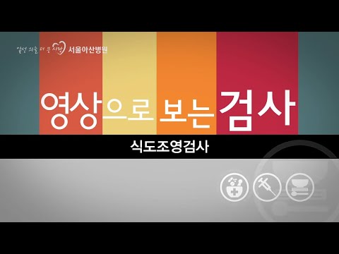 식도조영검사 [영상으로 보는 검사]