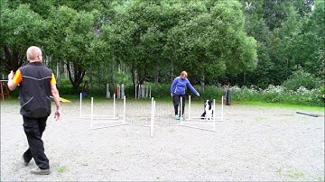 Jumping grid exercises agility / hyppytekniikka HT projektiryhmä JLu taip. 20160623