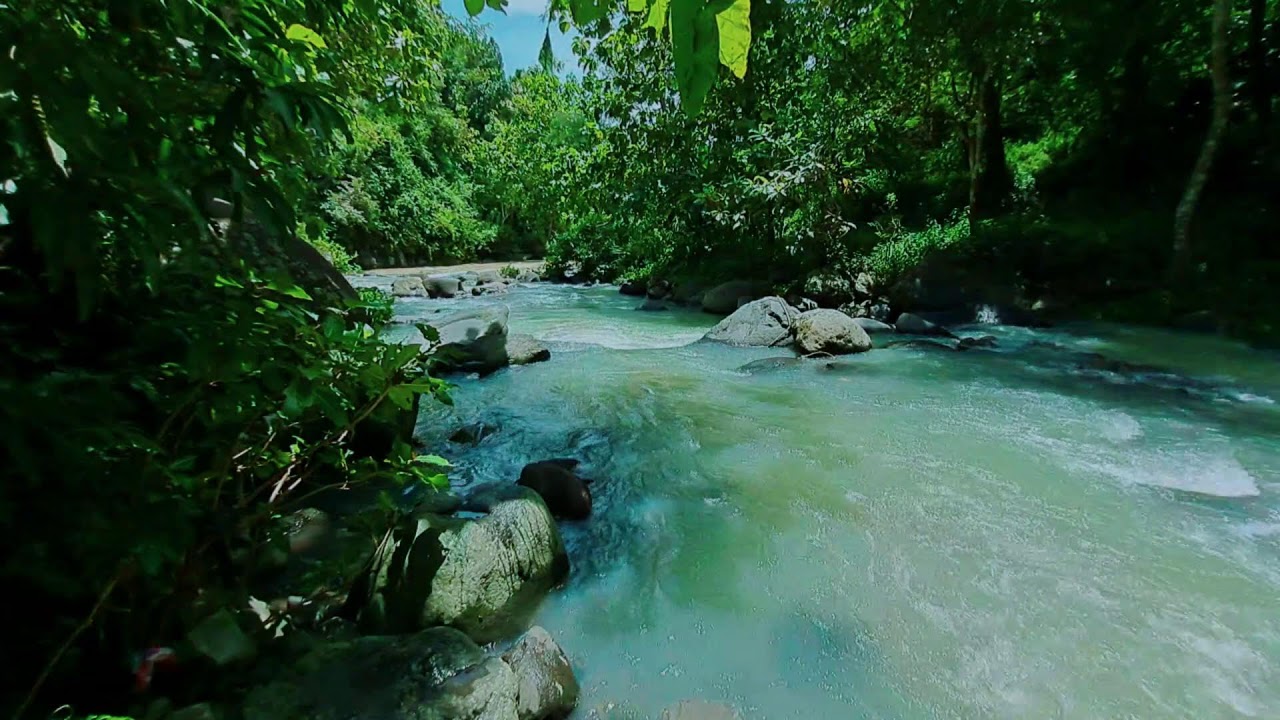 River's Calm Flow & Nature's Gentle Touch: Deep Relaxation