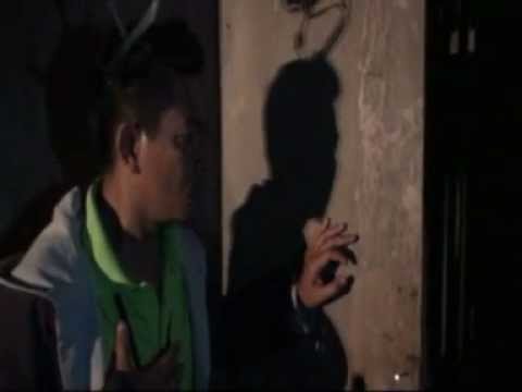 Kisah benar-ikan duyung terdampar  Doovi