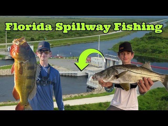 Biggest Snook of the Year on NEW NLBN K-Tail + Boat Update + New