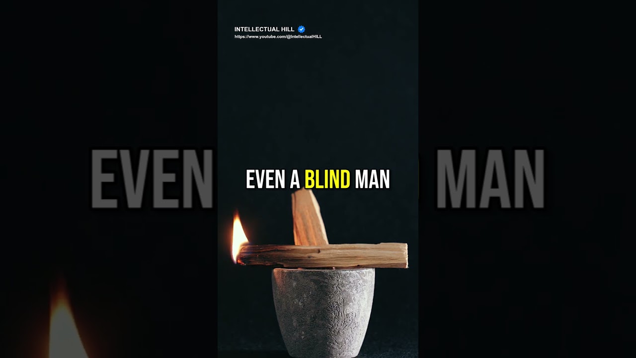 😎🔥 eternal sunshine quotes 😈 - sunshine quotes 🔥 quotes from eternal sunshine of the spotless mind