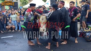 BANTENG KERAMAT HADIR DI TLOGOMAS MALANG || BANTENG WARUNG PUTIH ||