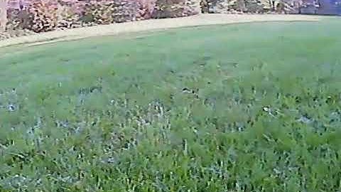 Convergence Vtol Fpv Beginner practice