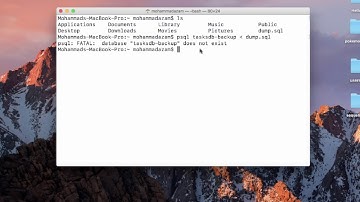 Exporting and Importing PostgreSQL Databases