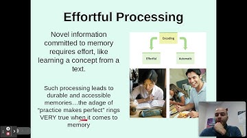 Intro to Memory and Encoding