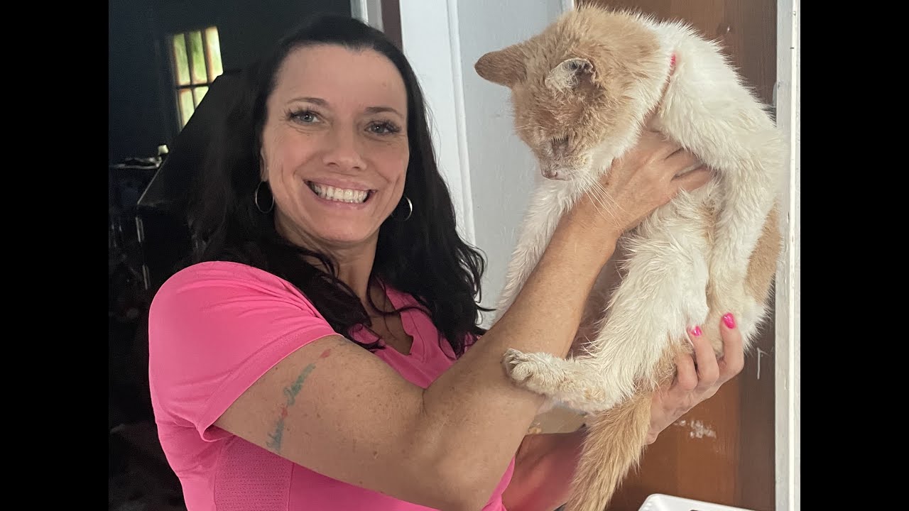 20 Year Old Cat Wash N Style YouTube 20-year-old-cat-wash-n-style-youtube