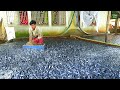 Hybrid magur fish farming business in cement tank  million catfish seed farming in asia