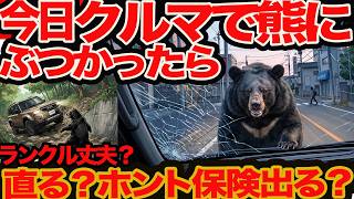 【街中クルマで 熊 と事故ったら ズケズケ聞く】 直る？ 保険出る？ 高く売れる？ やっぱランクル一番イイ？
