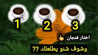 خيرة بالفناجين قراء سريعة وتفاصيل جميلة الكم شوفو شنو يطلع الكم ??