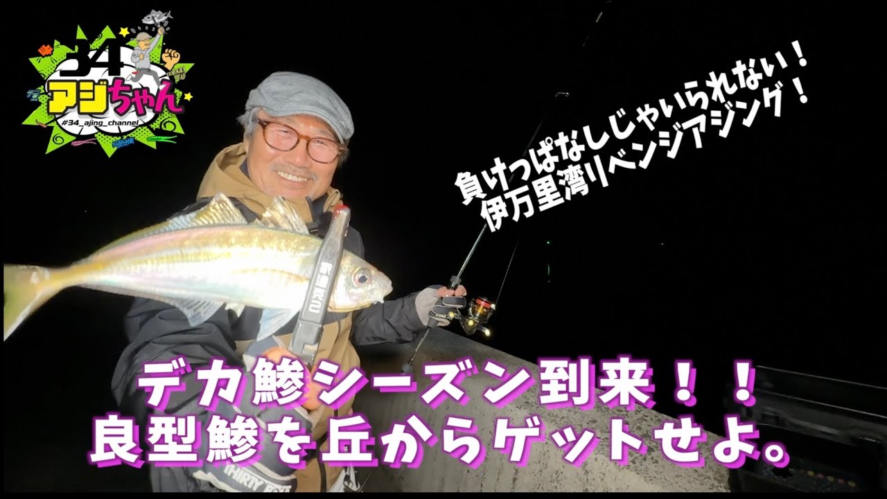 デカ鯵シーズン到来！HEN-511で良型を狙え！！