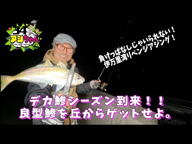 デカ鯵シーズン到来！HEN-511で良型を狙え！！ - YouTube