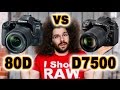 CANON 80D vs Nikon D7500: Which to buy