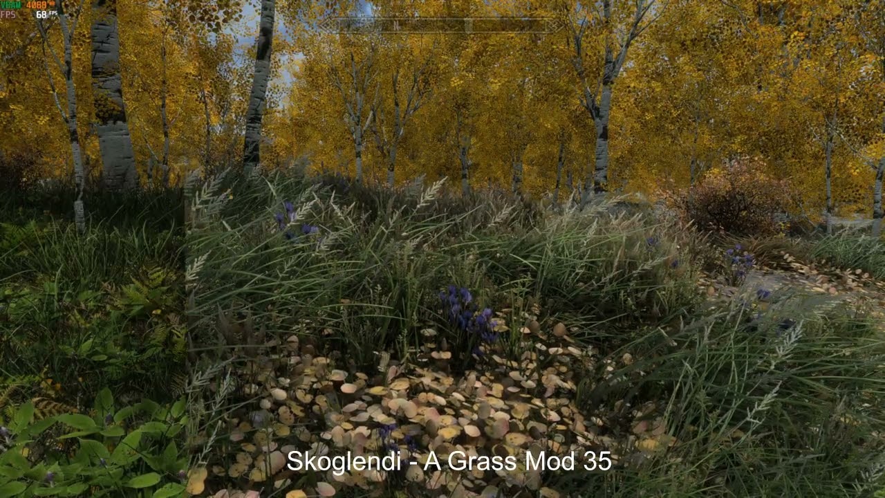 Skyrim grass mods comparison - Rift