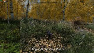 Skyrim grass mods comparison - Rift