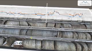 Minalogger 3D Preview