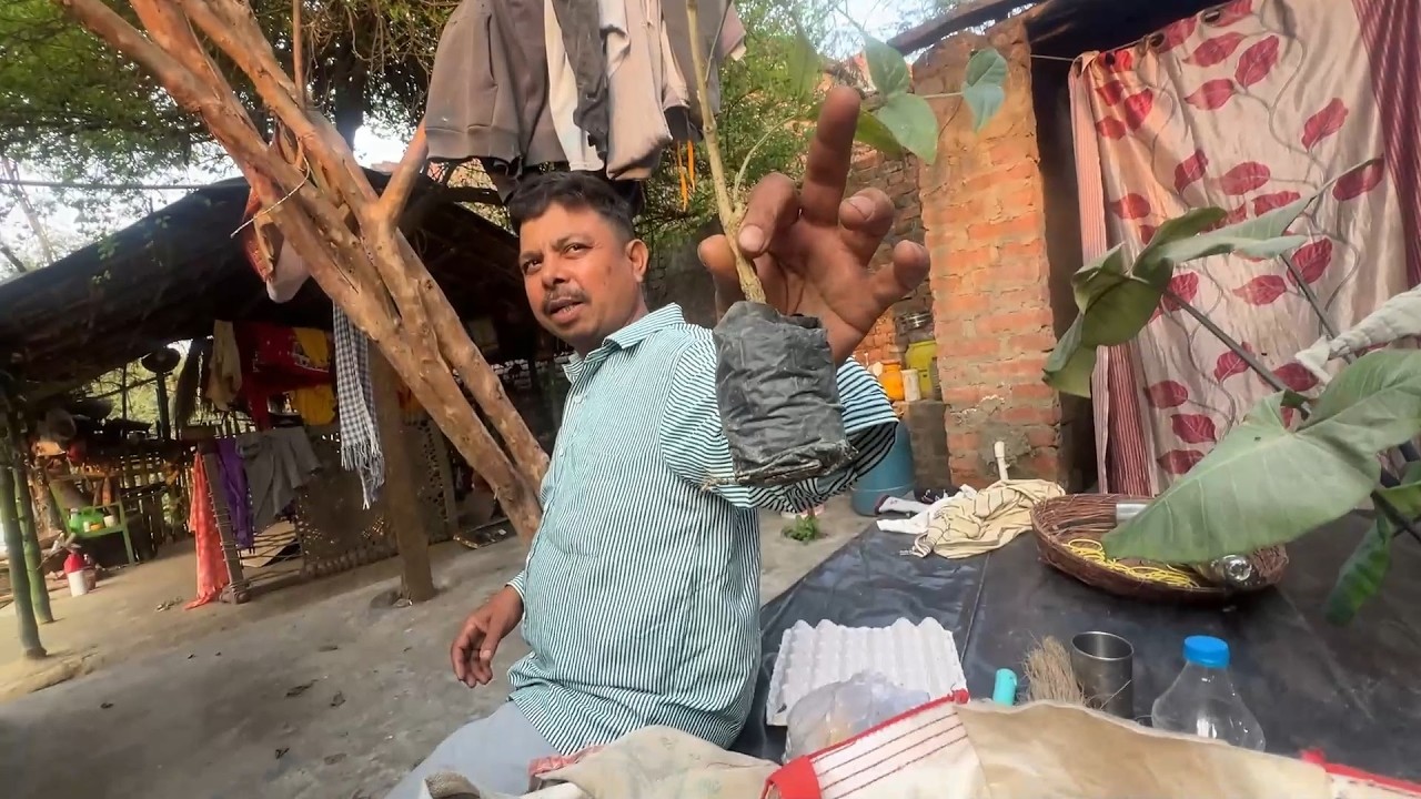 Farmhouse के लिए Online मंगाए खूब सारे बीज और पौधे🛖