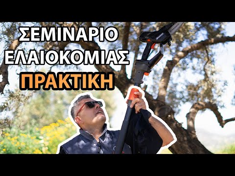 Το Κλάδεμα της