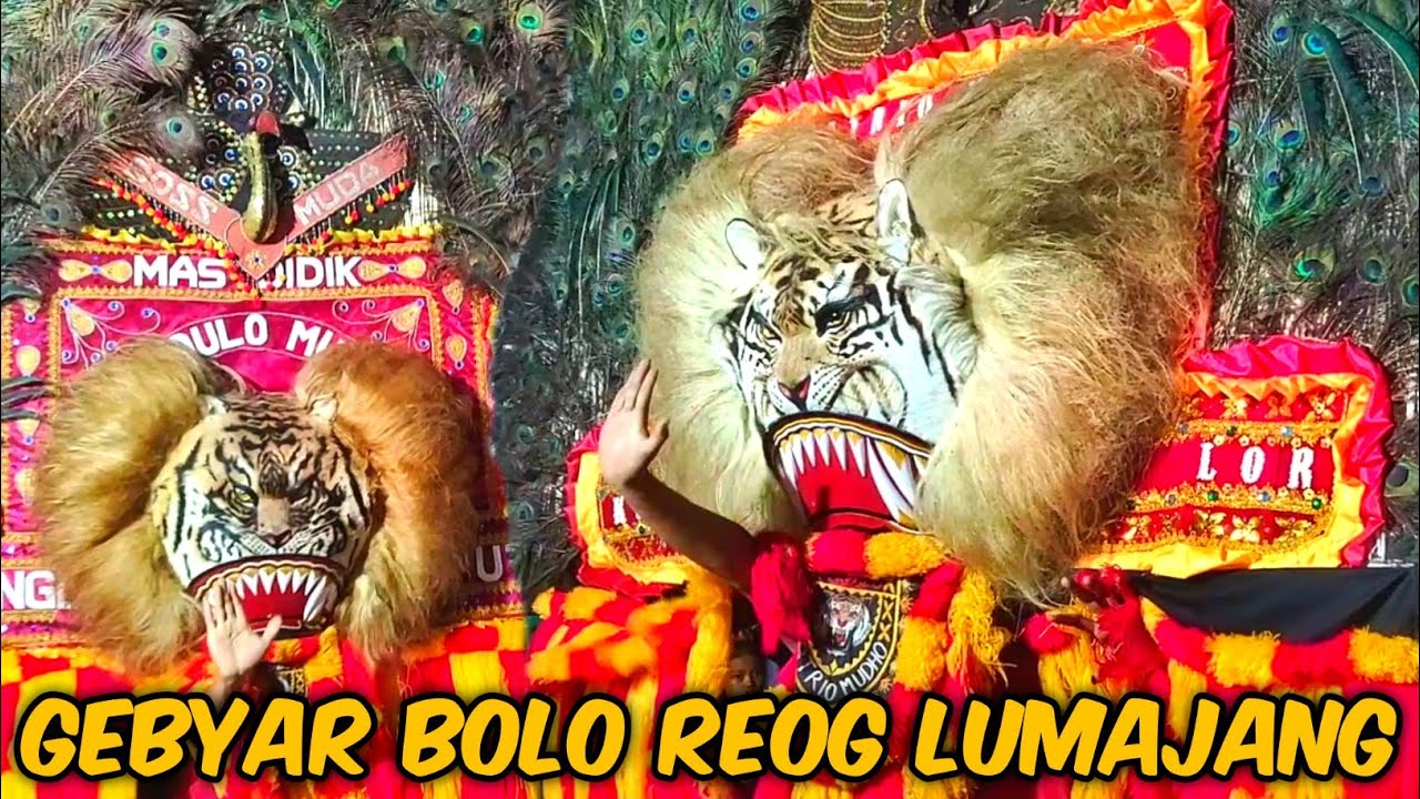 GEBYAR LIMA BOLO REOG LUMAJANG FUL SOLAH OBYOKAN VERSI LUMAJANG TERBARU 