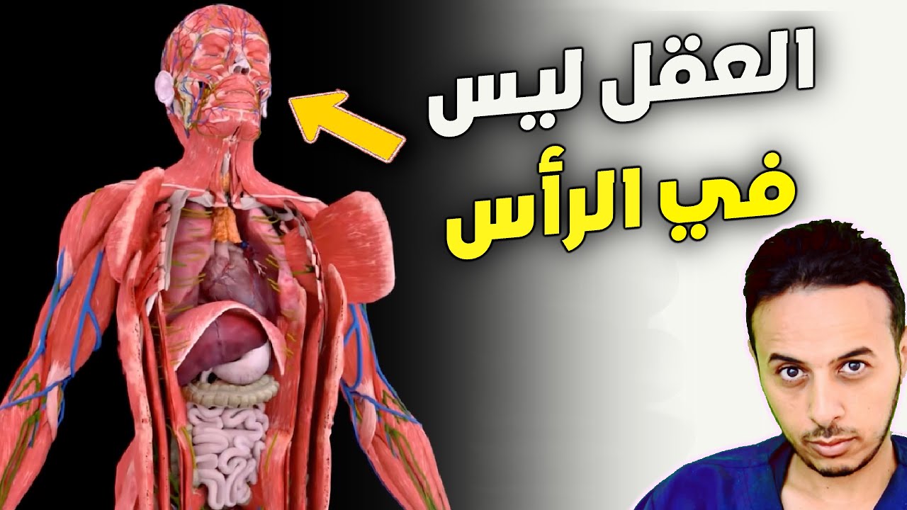 النفس يجب أن تخرج من الجسد يوميا قبل أن تدمره / العقل ليس في الرأس / الفؤاد و طائر العنق