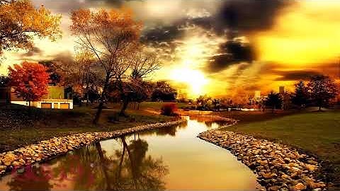 تلاوة مؤثرة اتحداك ان لم تبكى | تراويح رمضان 18