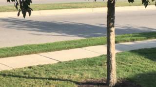 IPhone 6s Plus 4k video sample