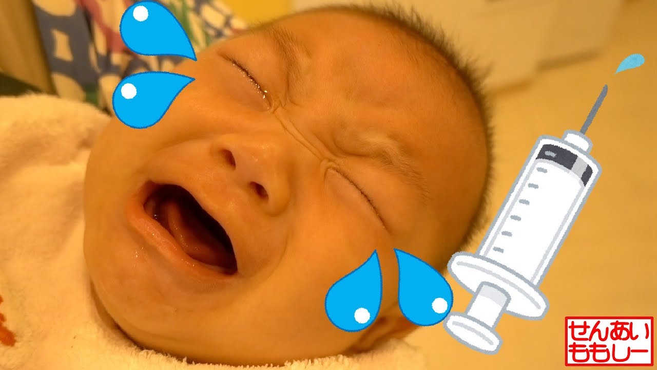しーくん予防接種4発 ゚d゚ Youtube しーくん予防接種4発 ゚d゚ Youtube