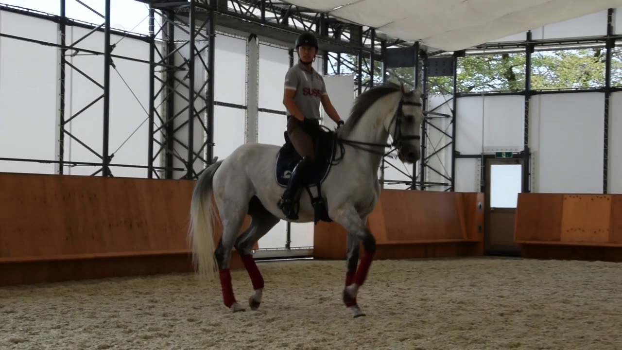 馬場馬術 M1 経路図 馬場馬術 M1 経路図 Mbaheblogjpkbup