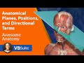 Anatomy and Directional Terms Quiz