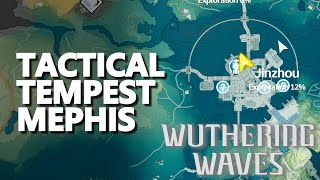 Tactical Tempest Mephis Wuthering Waves