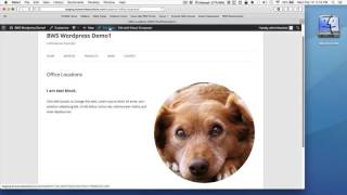 Celebrity Wordpress 4.4 - Introduction to Visual Composer Wealth