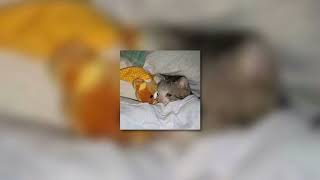 Perih  Vierra slowed  Reverb