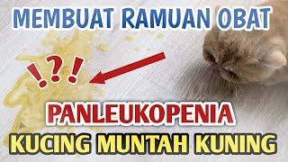 OBAT UNTUK KUCING MUNTAH KUNING (DISTEMPER)