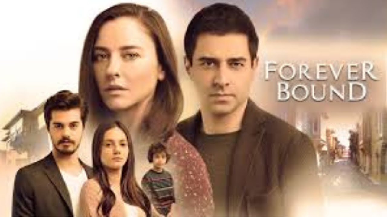 Forever Bound Season 1 episode 1 in Hindi Urdu dubbed_T… — Transcript