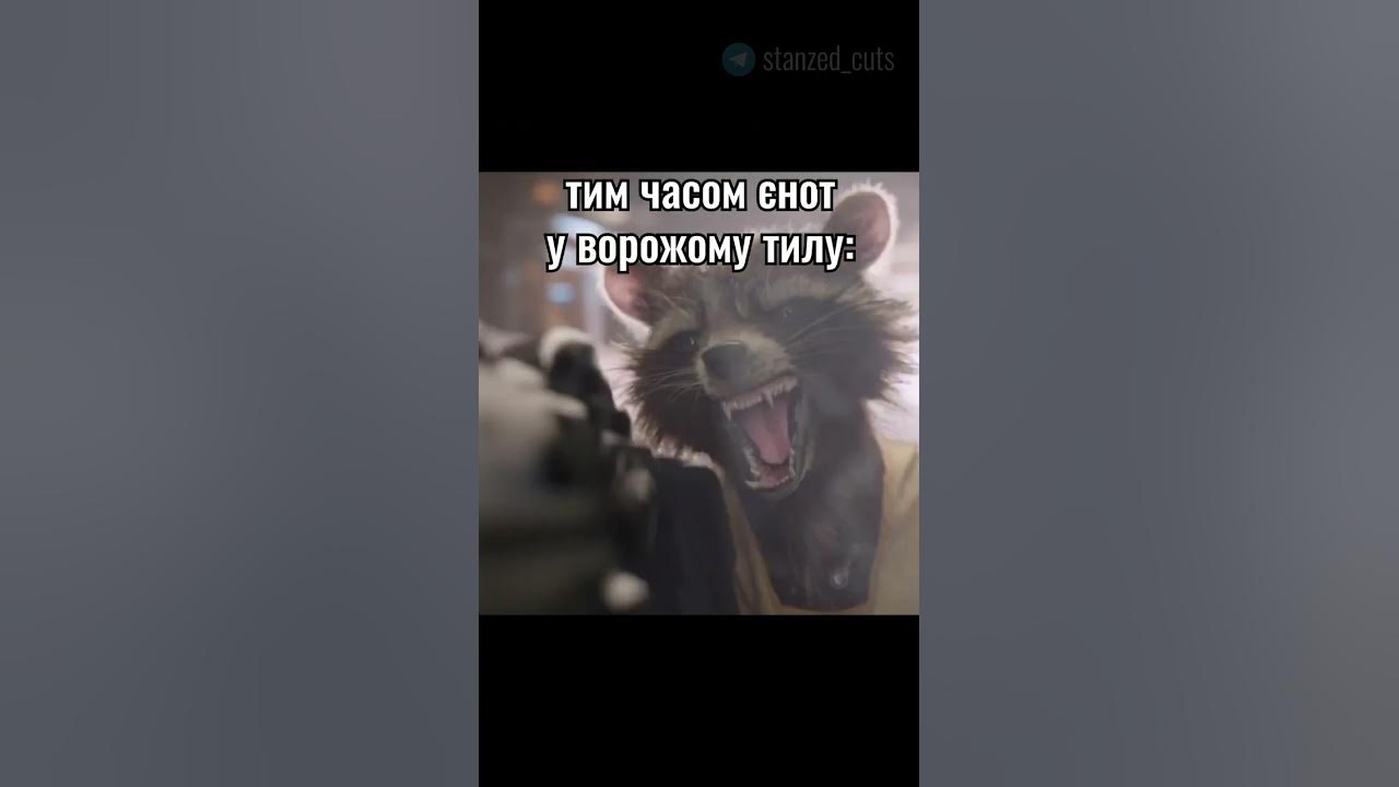 єнота повернемо 🦝🇺🇦 #єнот #україна #херсон #ракета - YouTube