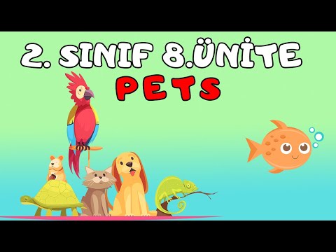 2.SINIF İNGİLİZCE 8.ÜNİTE KELİMELERİ VE KONU ANLATIMI | PETS İNGİLİZCE HAYVANLAR