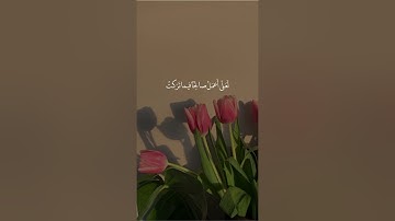تلاوة هادئة تريح الأعصاب 😴🎧ستوري انستا قران كريم| القاريء اسلام صبحي - سورة المؤمنين 🤍🌥️."