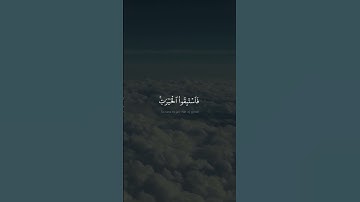 وَلِكُلّٖ وِجۡهَةٌ هُوَ مُوَلِّيهَاۖ | محمد صديق المنشاوي | سورة البقرة