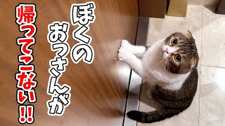 夜中まで飼い主が仕事で帰ってこなくて猫が騒ぐので連れて行ってみたらまさかのこうなった…w