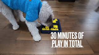 Puzzle Your Pup's Brain: Best Dog Treat Puzzle for a Mentally Sharp & Happy Doggo! screenshot 3