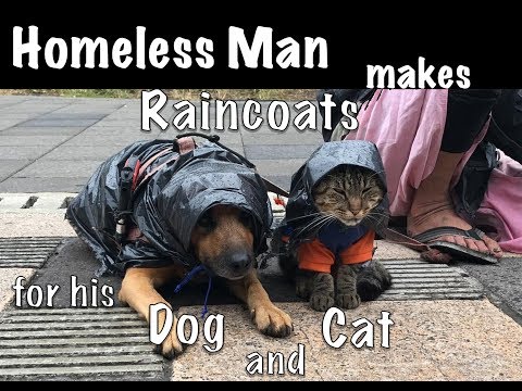 Homeless man makes raincoats for dog and cat in San Jose, Costa Rica