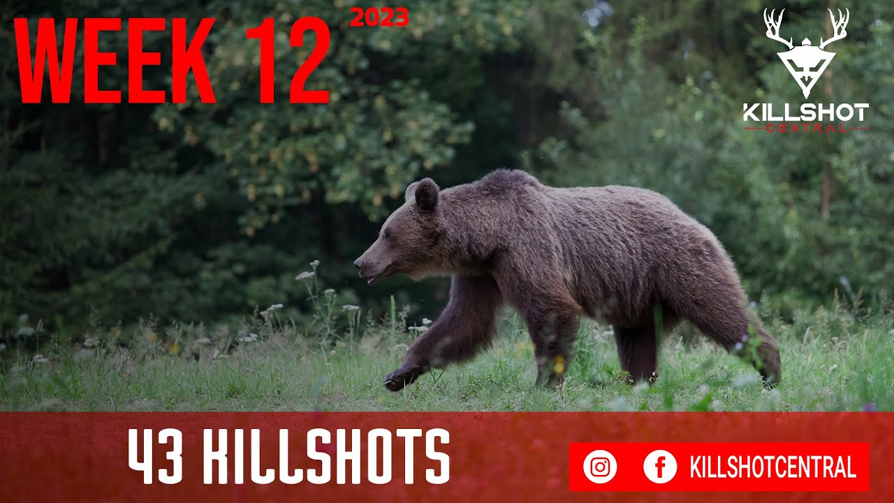HUNTING KILL SHOT COMPILATION EP. 12 WEEKLY RECAP KILLSHOT CENTRAL