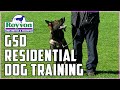 General German Shepherd training at Royvon General German Shepherd training at Royvon