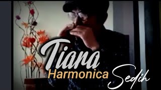 Tiara Harmonika Cover Sedih