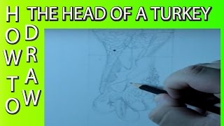 HOW TO DRAW THE HEAD OF A TURKEY