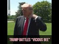 President Trump Battles "Vicious Bee"