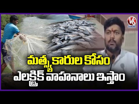 Telangana Fisheries Chairman Participates in World Fisheries Day Program at Rajinder Nagar | V6 News - V6NEWSTELUGU