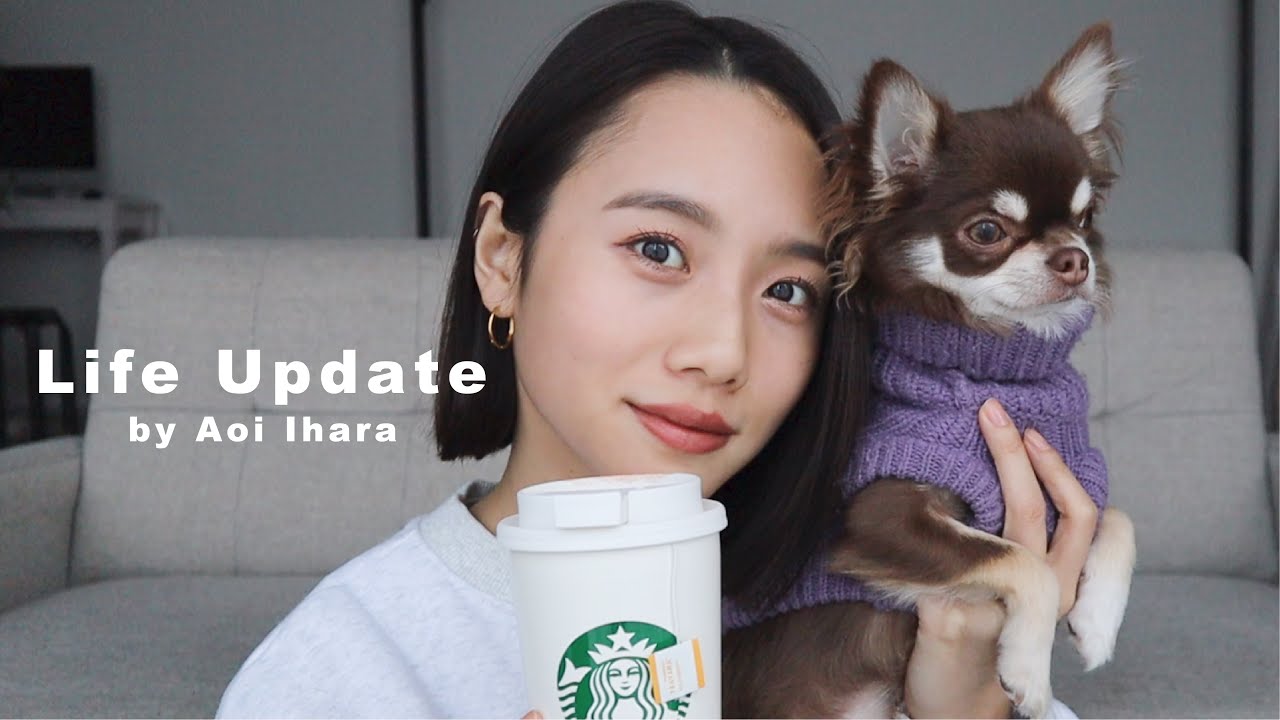 Thống Ke Video Youtube Cho 自粛犬 年最新 最近のペット事情にぶったまげる 博多弁でミニチュアダックスが語ります おしゃべりペット Noxinfluencer