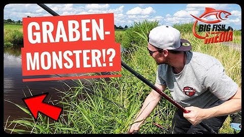 Die Angel-Herausforderung: Wie viele Fischarten fangen wir in 3 Stunden? Kurzansitz am Kanal